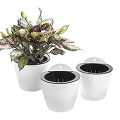 Pack self watering for sale  Delivered anywhere in USA 