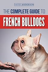 Complete guide french for sale  Delivered anywhere in UK