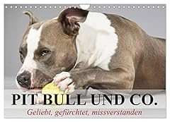 Pit bull geliebt gebraucht kaufen  Wird an jeden Ort in Deutschland