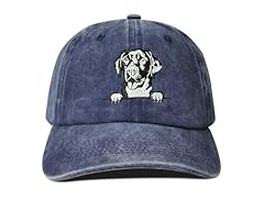 Hepandy labrador retriever for sale  Delivered anywhere in USA 