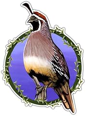 California quail bird for sale  Delivered anywhere in USA 