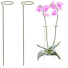 Pack plant stakes for sale  Delivered anywhere in USA 