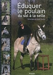 cheval selle francais d'occasion  Livré partout en France