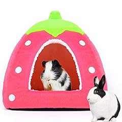 Spring fever hamster for sale  Delivered anywhere in USA 