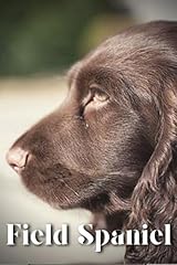 Field spaniel dog for sale  Delivered anywhere in UK