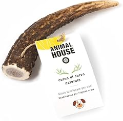 Animal house corna usato  Spedito ovunque in Italia 