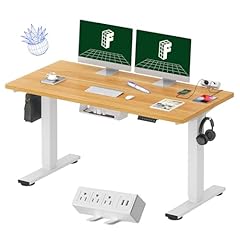 Flexispot en2 whole for sale  Delivered anywhere in USA 