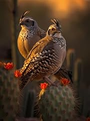 Kayeiuu birds diamond for sale  Delivered anywhere in USA 