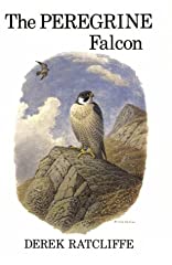 The Peregrine Falcon for sale  Delivered anywhere in UK