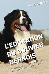 Education bouvier bernois d'occasion  Livré partout en France