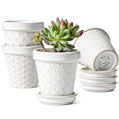 Tauci succulent pots for sale  Delivered anywhere in USA 
