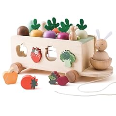 Oessuf montessori toys for sale  Delivered anywhere in USA 
