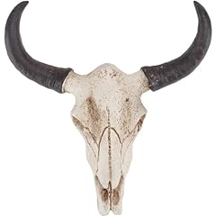 Romeeton horn skull for sale  Delivered anywhere in UK