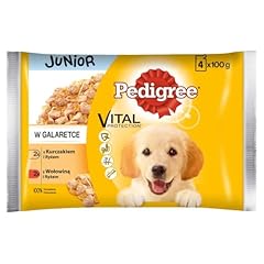 Pedigree junior choice usato  Spedito ovunque in Italia 