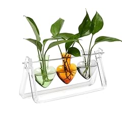 Cyzglass plant terrarium for sale  Delivered anywhere in USA 