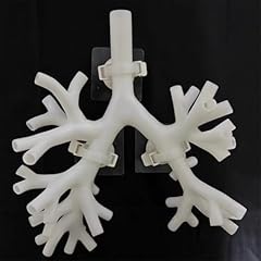 Bronchoscopy training model for sale  Delivered anywhere in USA 