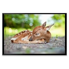 Newborn white tailed for sale  Delivered anywhere in USA 