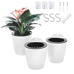 Pack self watering for sale  Delivered anywhere in USA 