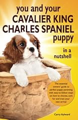 Cavalier king charles for sale  Delivered anywhere in UK