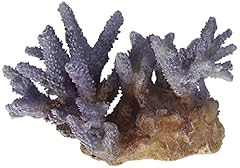 Aqua della coral for sale  Delivered anywhere in UK