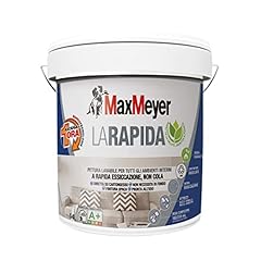 Maxmeyer pittura per usato  Spedito ovunque in Italia 