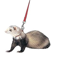 Marshall ferret harness for sale  Delivered anywhere in UK