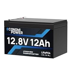 Economipower lifepo4 batterie d'occasion  Livré partout en France