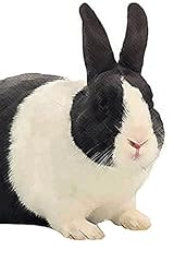 Dutch bunny 199 for sale  Delivered anywhere in USA 