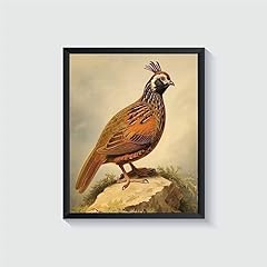 Quail poster art for sale  Delivered anywhere in USA 