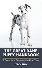 Great dane puppy for sale  Delivered anywhere in UK