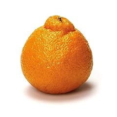 Mandarin stem leaf for sale  Delivered anywhere in USA 