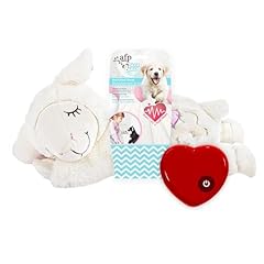 Paws little buddy for sale  Delivered anywhere in UK