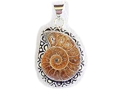Ammonite shell silver d'occasion  Livré partout en France