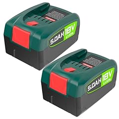 Stück 18v 5000mah gebraucht kaufen  Wird an jeden Ort in Deutschland