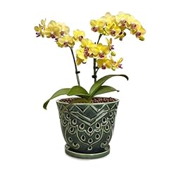 Lksszs orchid pots for sale  Delivered anywhere in USA 