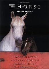 Warren evans horse for sale  Delivered anywhere in UK