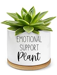 Pwhingn emotional support for sale  Delivered anywhere in USA 