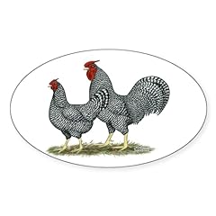 Cafepress dominique chickens for sale  Delivered anywhere in USA 
