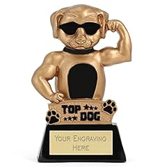 Trophiesplusmedals trophies pl for sale  Delivered anywhere in UK