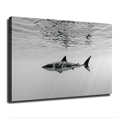 Black white shark for sale  Delivered anywhere in USA 