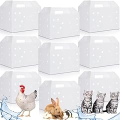 Briwooody pcs plastic for sale  Delivered anywhere in USA 