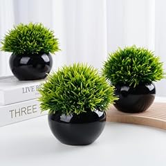Ashelyulla small fake for sale  Delivered anywhere in USA 