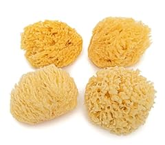 Natural ocean sponges for sale  Delivered anywhere in UK