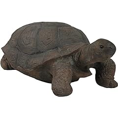 Sunnydaze todd tortoise for sale  Delivered anywhere in USA 