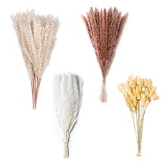 75pcs natural dried for sale  Delivered anywhere in USA 