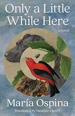 Little novel for sale  Delivered anywhere in USA 