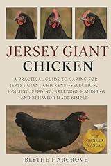 Jersey giant chicken for sale  Delivered anywhere in UK