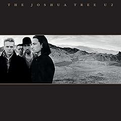 Joshua tree usato  Spedito ovunque in Italia 