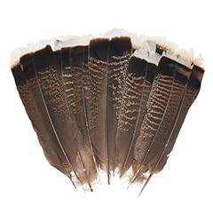 20pcs natural turkey for sale  Delivered anywhere in USA 