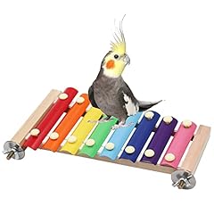 Dnoifne colorful bird for sale  Delivered anywhere in USA 